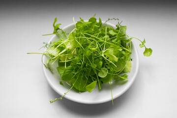 Microgreens coriander and basil on a white saucer.