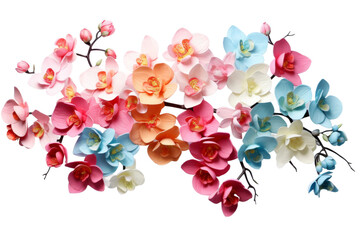 Vibrant Orchid Display Colorful Array on white background