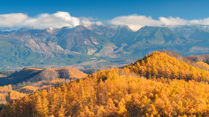 紅葉するカラマツと十勝岳連峰