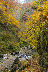 日本　青森県中津軽郡にある世界遺産、白神山地の暗門渓谷ルート沿いの暗門川と紅葉