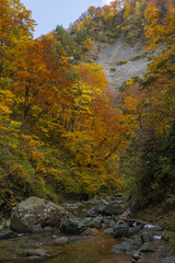 日本　青森県中津軽郡にある世界遺産、白神山地の暗門渓谷ルート沿いの暗門川と紅葉