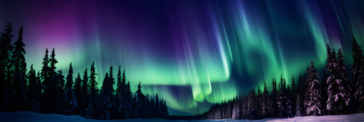 Spellbinding Display of the Aurora Borealis Over a Stark Wilderness Landscape Under a Star-studded Sky