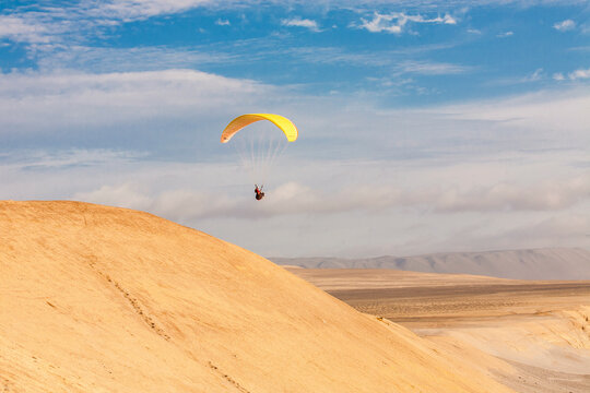 Parante in the desert in front of the sea