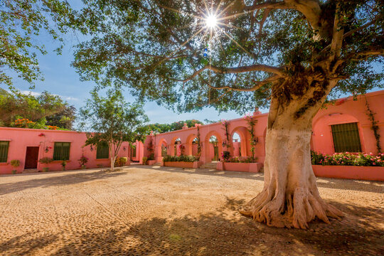 Vi&ntilde;a Tacama, a traditional Peruvian wine and pisco producer, offers tours in the vineyards of the winery in Ica, Peru.