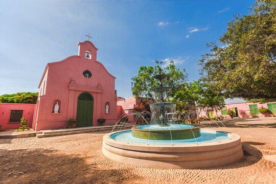 Vi&ntilde;a Tacama, a traditional Peruvian wine and pisco producer, offers tours in the vineyards of the winery in Ica, Peru.