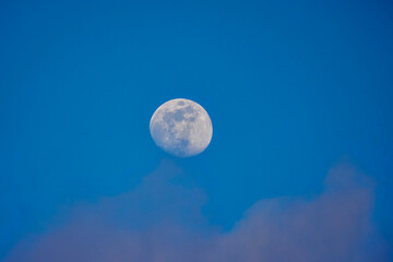 Fototapeta na wymiar landscape with the moon in the blue sky