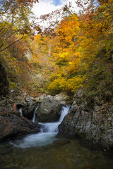 日本　青森県中津軽郡にある世界遺産、白神山地の暗門渓谷ルート沿いの暗門川と紅葉