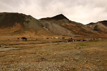 The Snæfellsjökull National Park  is a national park of Iceland located in the municipality of Snæfellsbær the west of the country