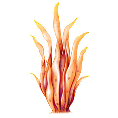 watercolor coral illustration