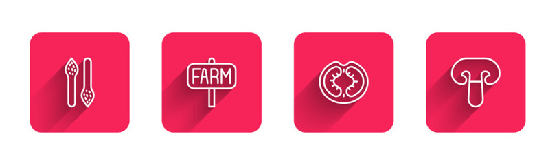 Set line Asparagus, Location farm, Tomato and Mushroom with long shadow. Red square button. Vector