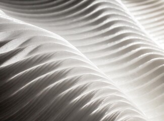 Abstract white wave texture background