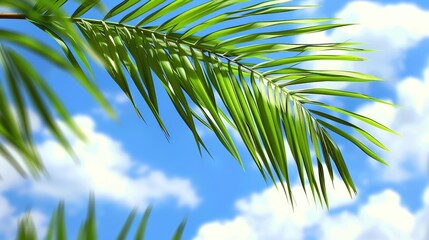 Palm leaf against a clear blue sky