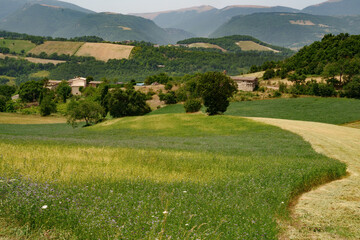 Rural landscape near Fiastra, Marche, Italy, at summer