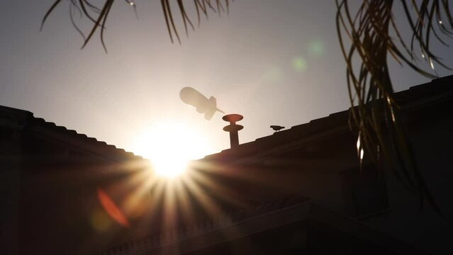 roof chimney sunset backlight flares and zeppelin blimp on background with palm tree leaves