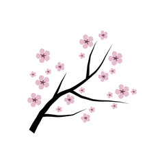 Naklejka premium Cute sakura branch, or cherry blossoms, hand drawn. Spring tree branch on isolated background.