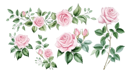 Sets of four pink roses in watercolor.