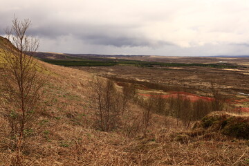 The Geysir geothermal field is a collection of hot springs, a dome and a volcanic cone that make up the remains of an ancient volcano in Iceland.