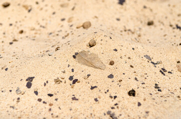 Yellow sea sand with rocks close-up. Background.