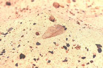 Yellow sea sand with rocks close-up. Background.