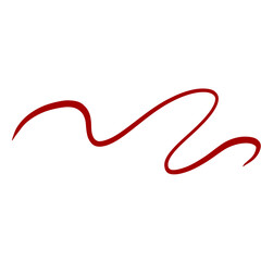 Red Curved Squiggle Line Divider