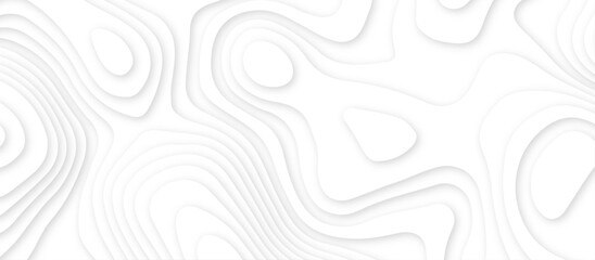 Abstract white wavy line 3d paper cut white background. abstract white background with smooth wavy layers. silver grid map line topography mount contour map .