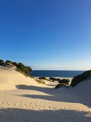 Dunes on the East African coast on a clear sky day