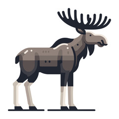 Moose buck elk full body vector illustration, zoology illustration, wild animal moose design template isolated on white background