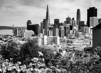 San Francisco city skyline, black and white