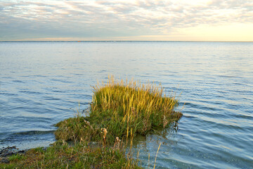 Lake, grass and coast with landscape, horizon and sky in environment with sunshine in Jutland. Water, sea or field with clouds, sustainability or ecology for earth in summer at countryside in Denmark