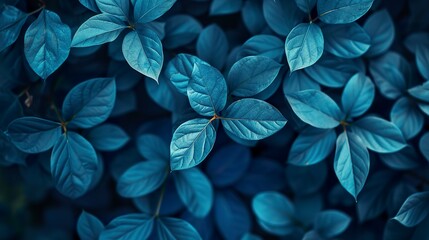 Blue plant leaves contrast with a blue background, creating a harmonious and serene composition. Nature background of blue leaves in peaceful and refreshing atmosphere. - obrazy, fototapety, plakaty
