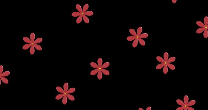 Animation of rows of chinese red flowers with copy space on black background