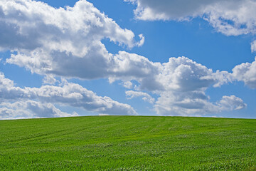 Blue sky, clouds and landscape in summer with sustainability, environment and zen in countryside. Field, nature and beauty with green grass for eco friendly, growth and horizon with lawn on earth