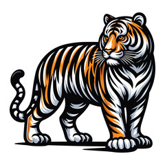 Wild tiger full body vector illustration, zoology illustration, animal predator big cat design template isolated on white background