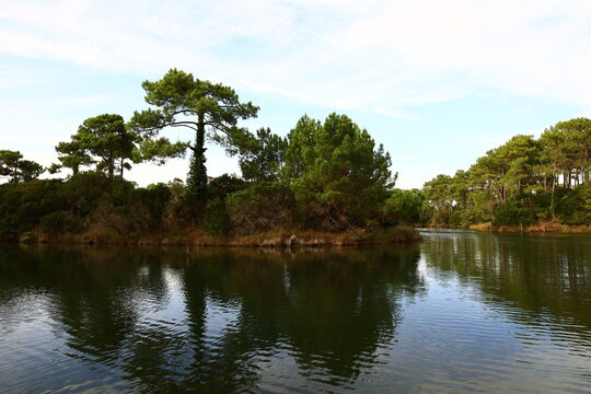 Arcachon Bay is a bay of the Atlantic Ocean on the southwest coast of France