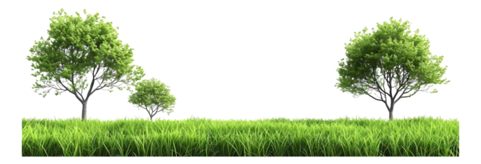 Green grass or tree image on a white background