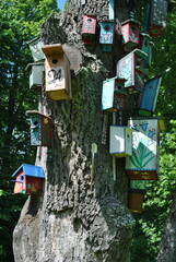 birdhouse on a tree