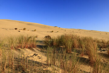 The Dune of Pilat is the tallest sand dune in Europe. It is located in La Teste-de-Buch in the Arcachon Bay area, France