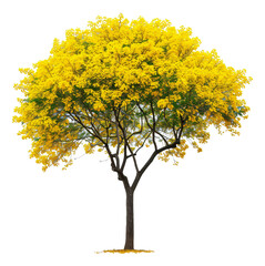 A lone yellow tree stands out against the white background.