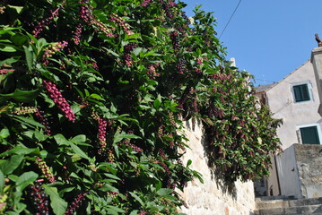 street in the old town of island country