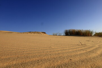 Obraz premium The Dune of Pilat is the tallest sand dune in Europe. It is located in La Teste-de-Buch in the Arcachon Bay area, France