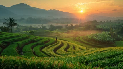 Deurstickers Farmers walking on rice fields terraced. Green Rice field  on terraced. men walking on rice terraces. Farmer hold a Smart phone and Keep rice on rice field. Landscape. asian rice farmer, sunrise.  © Sweetrose official 