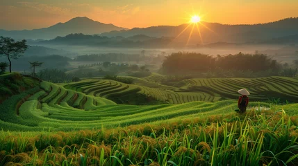 Foto op Canvas Farmers walking on rice fields terraced. Green Rice field  on terraced. men walking on rice terraces. Farmer hold a Smart phone and Keep rice on rice field. Landscape. asian rice farmer, sunrise.  © Sweetrose official 