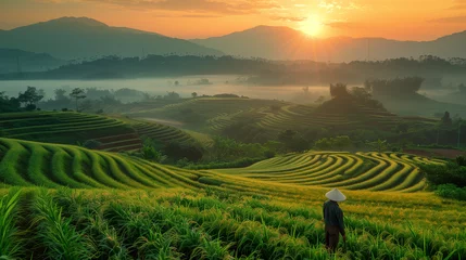 Tuinposter Farmers walking on rice fields terraced. Green Rice field  on terraced. men walking on rice terraces. Farmer hold a Smart phone and Keep rice on rice field. Landscape. asian rice farmer, sunrise.  © Sweetrose official 