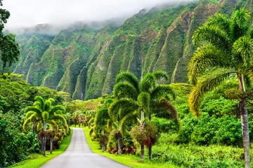 Fototapeten Ho'omaluhia Botanical Park views of Ko'olau mountains on Oahu - Hawaii, United States © Leonid Andronov