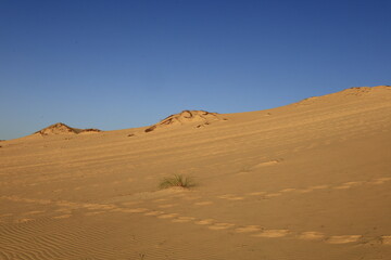 The Dune of Pilat is the tallest sand dune in Europe. It is located in La Teste-de-Buch in the...