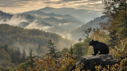 a black bear in its natural habitat within the Smoky Mountains National Park, showcasing the wildlife's beauty and power against the backdrop of lush forests and misty mountain peaks. - obrazy, fototapety, plakaty