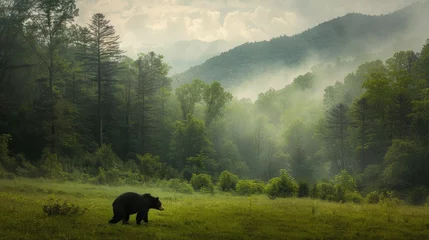Fotobehang a black bear in its natural habitat within the Smoky Mountains National Park, showcasing the wildlife's beauty and power against the backdrop of lush forests and misty mountain peaks. © lililia