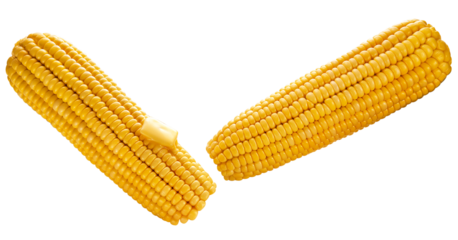 espiga de milho verde cozida com manteiga derretida isolado em fundo transparente