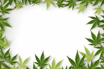 Banner with hemp or cannabis leaves isolated on white background. Top view, flat lay, postcard, template or mock up