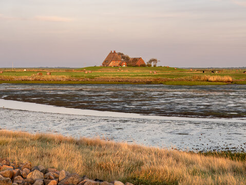 Kirchwarft on Hallig Hooge, North Frisia, Schleswig-Holstein, Germany